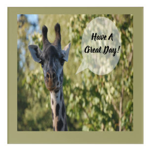 Giraffe  acrylic print