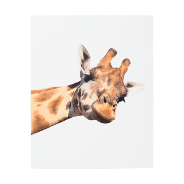 Giraffe african animal portrait metal print (Front)