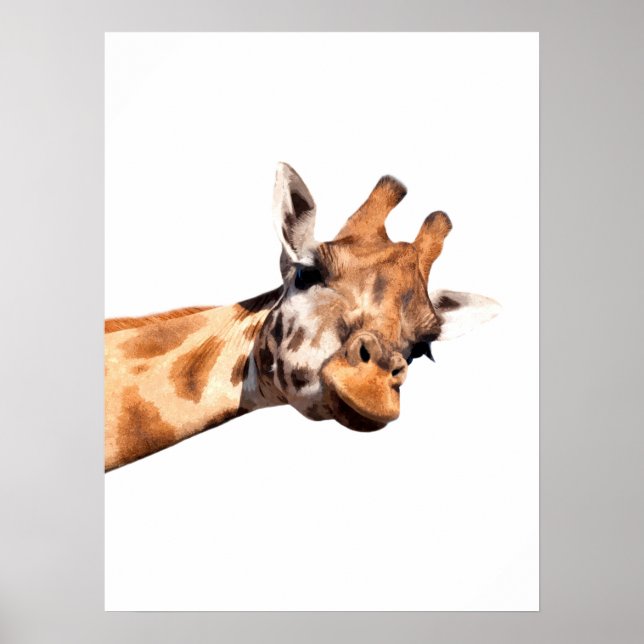 Giraffe african animal portrait poster (Front)