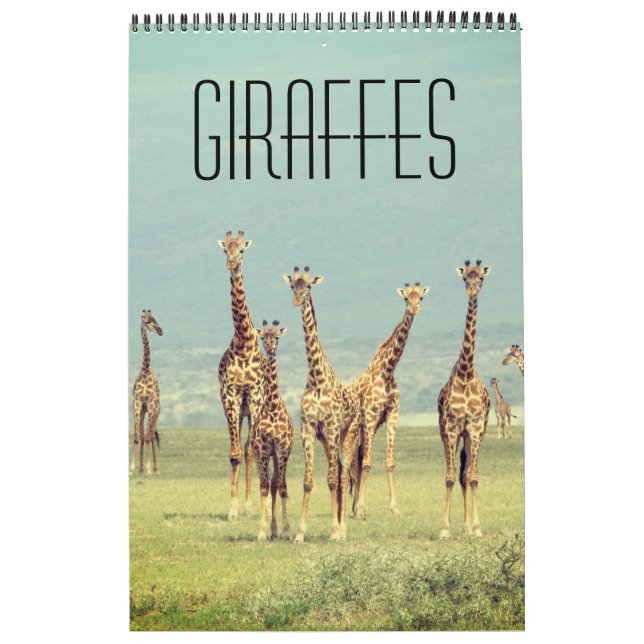 giraffe african safari calendar (Cover)
