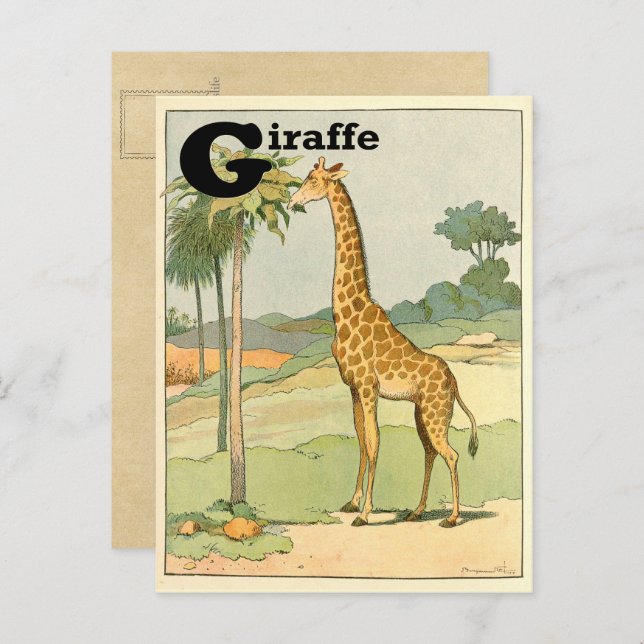 Giraffe Alphabet Animal Postcard (Front/Back)