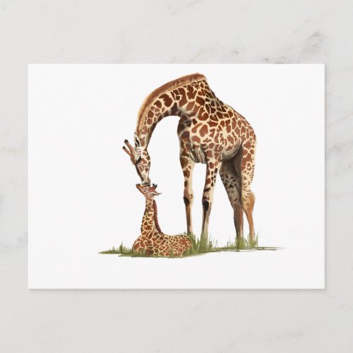 Giraffe and baby calf kissing postcard