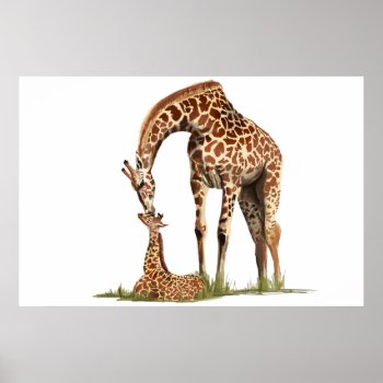 Giraffe And Baby Calf Kissing Poster by LgTshirts at Zazzle