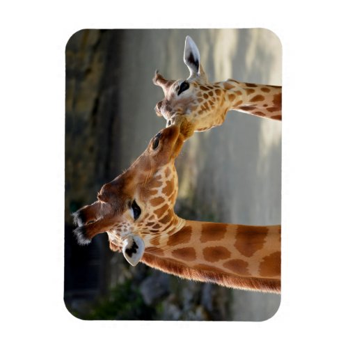 Giraffe and its baby magnet