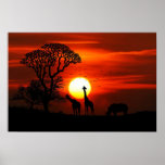 Giraffe And  Rhinoceros Sunset Poster at Zazzle