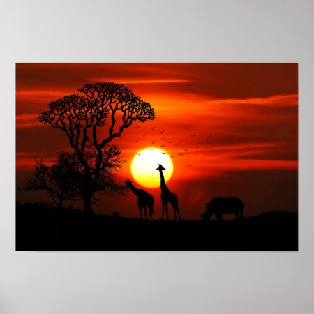 Giraffe And  Rhinoceros Sunset Poster
