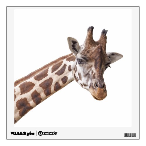 Giraffe Animal Photo Wall Sticker