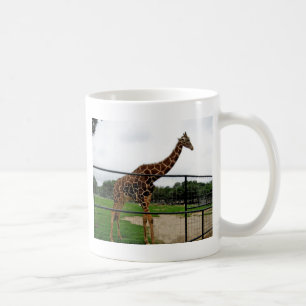 Giraffe Animal Photograph Coffee Mug