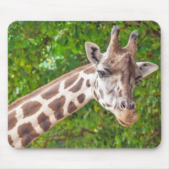 Giraffe Animal Portrait Photo Mouse Pad (Front)