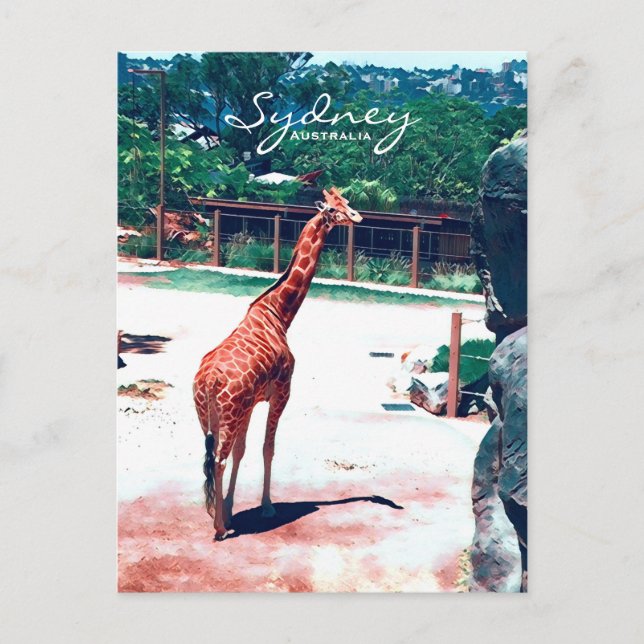 Giraffe animal Sydney Australia Postcard (Front)