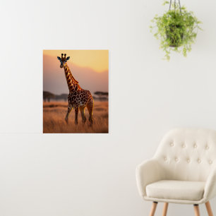 Giraffe at Sunset – Wildlife Illustration Foam Board