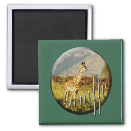 Giraffe baby wildlife safari magnets