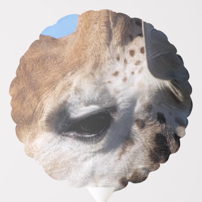 GIRAFFE   BALLOON (Front)