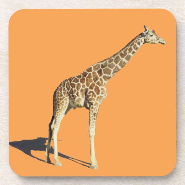 Giraffe Beverage Coaster (Front)