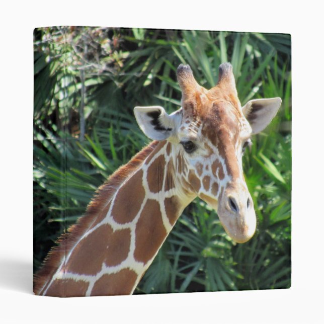Giraffe Binder (Front/Spine)