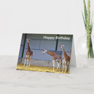 Giraffe Birthday Card