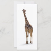 Giraffe Bookmark / Rackcard (Front)