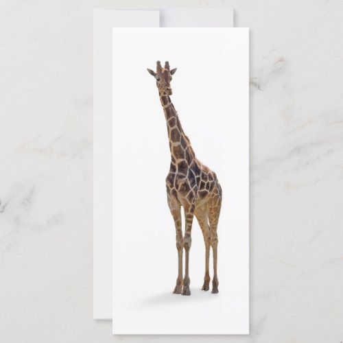 Giraffe Bookmark  Rackcard