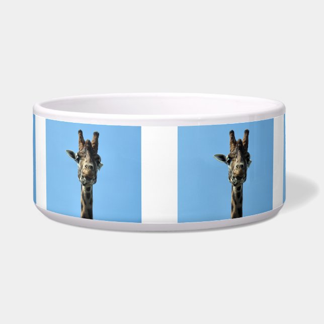 GIRAFFE BOWL (Front)
