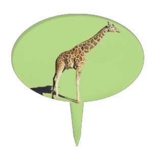 Giraffe Cake Topper