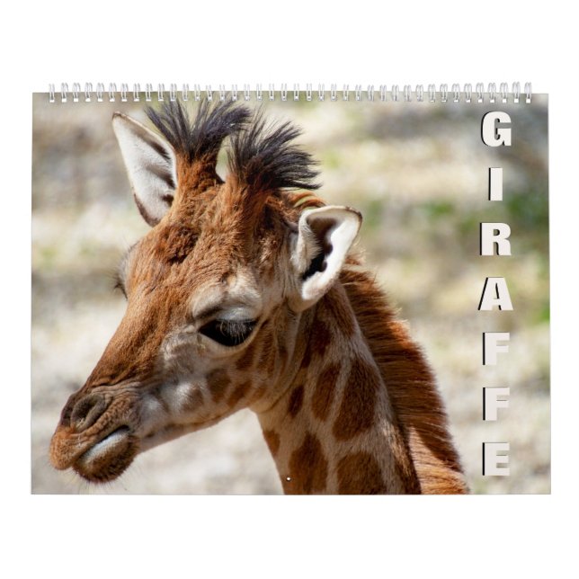 Giraffe Calendar (Cover)