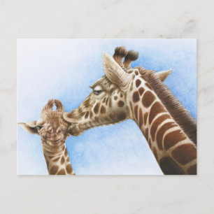 Giraffe & Calf Postcard