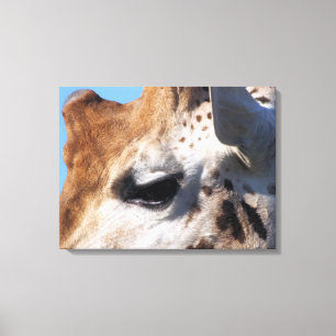 GIRAFFE CANVAS PRINT