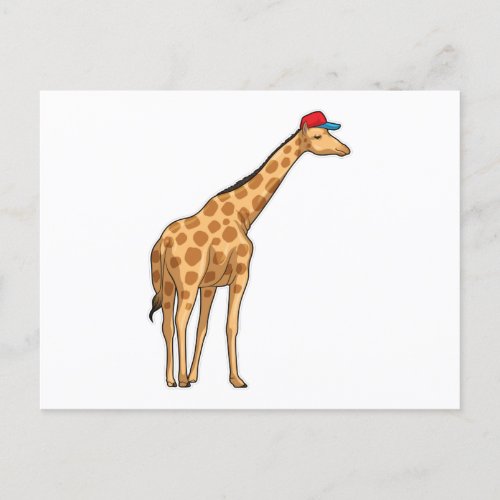 Giraffe Cap Postcard