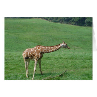 Giraffe Card!