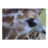 Giraffe Card! (Front Horizontal)