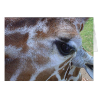 Giraffe Card!