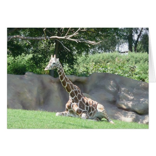 giraffe card (Front Horizontal)
