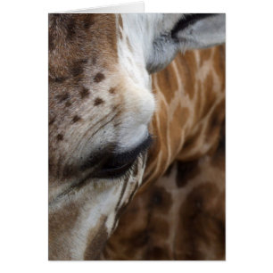 Giraffe Card
