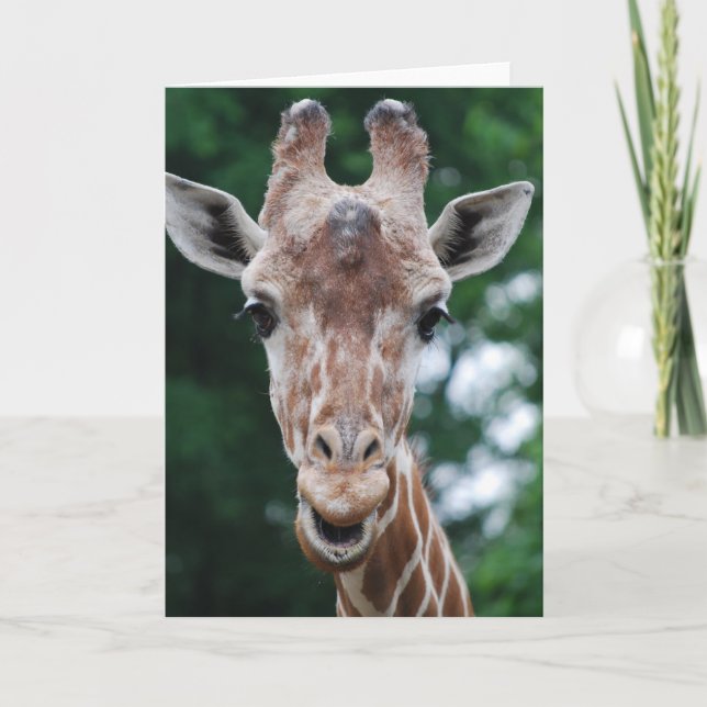 giraffe card (Front)