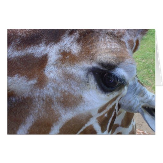 Giraffe Card! Cards (Front Horizontal)