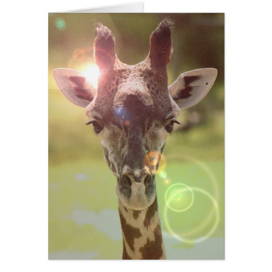 giraffe cards (Front)