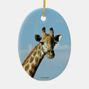 Giraffe Ceramic Ornament
