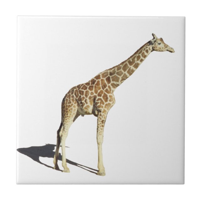 Giraffe Ceramic Tile (Front)