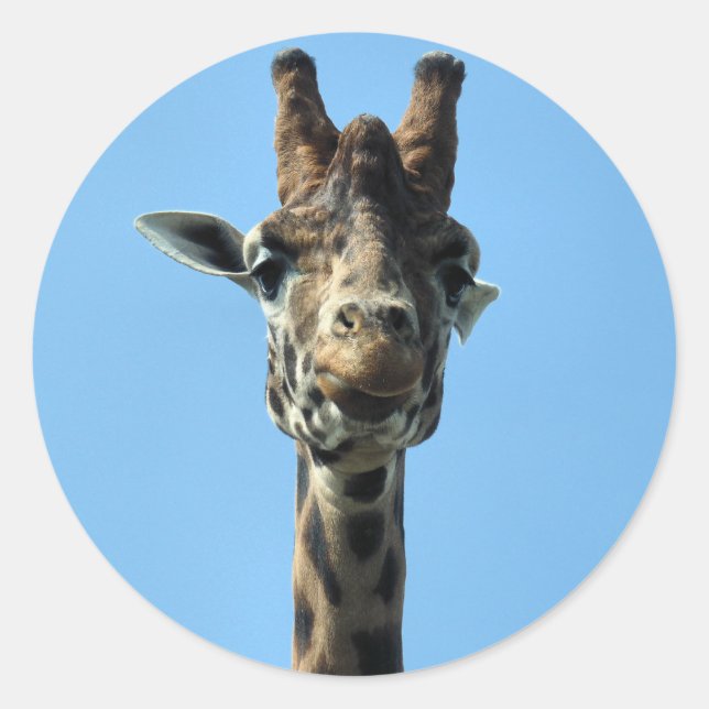GIRAFFE CLASSIC ROUND STICKER (Front)