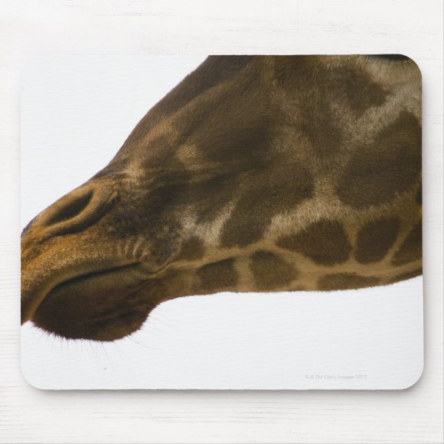 Giraffe,close up mouse pad (Front)