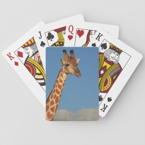 Giraffe Closeup Playing Cards