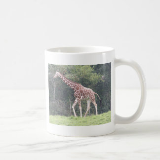 Giraffe Coffee Mug