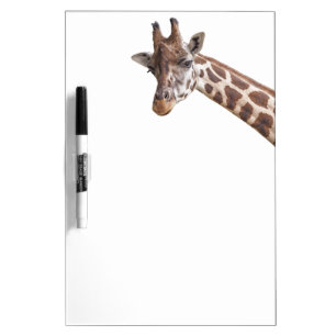 Giraffe Cute Animal on a White Background Dry Erase Board