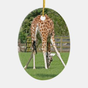 Giraffe Design Ceramic Ornament