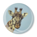 Giraffe Design  Magnet