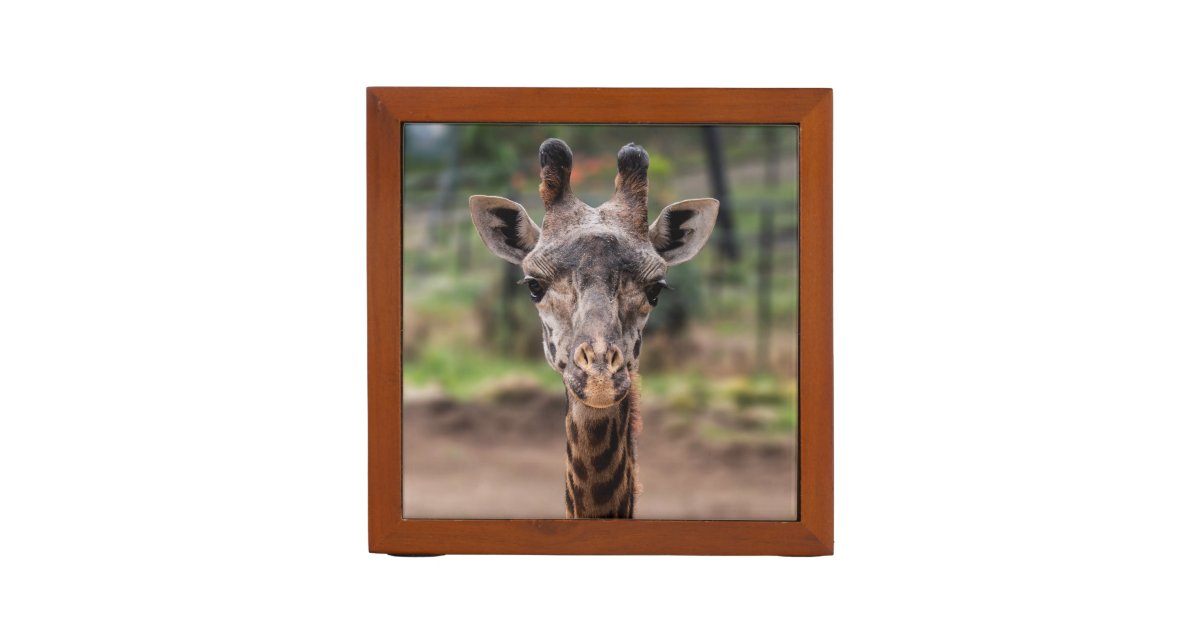 Giraffe desk organizer | Zazzle