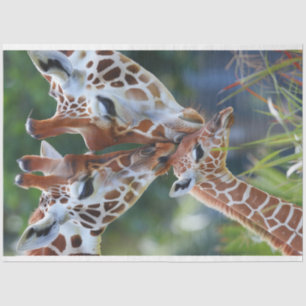 Giraffe Digital Art Family Decoupage Tissue Paper