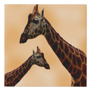Giraffe Double Trouble,  Faux Canvas Print