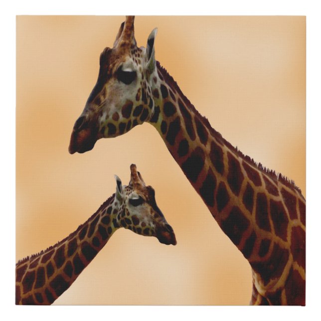 Giraffe Double Trouble,  Faux Canvas Print (Front)