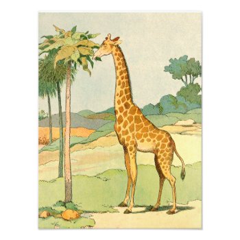 Giraffe Eating Acacia Leaves Illustrated Photo Print by kidslife at Zazzle